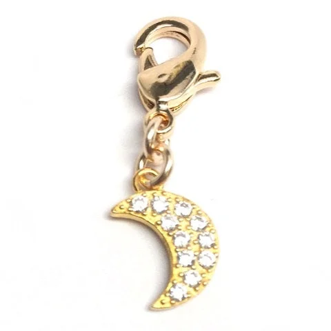 14KT Yellow Gold Plated Sterling Silver and Cubic Zirconia Charm